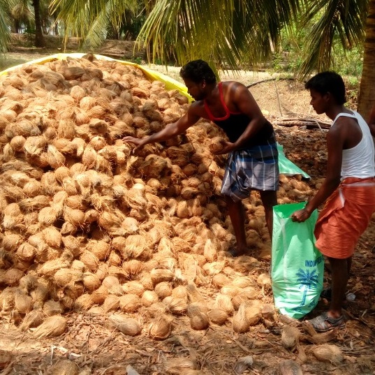 A Bottle of 500ml Virgin coconut oil produced by SUJATHA TRADERS Holdings